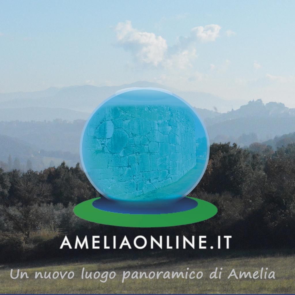 Ameliaonline.it è un progetto nato nel 2009 da un idea di Masisoft